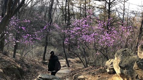 청계산! 푸른 자연 속에 드러나는 아름다운 절경과 신비로운 역사를 간직한 곳