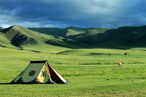  평지대 grasslands: 몽골의 바다를 담은 아름다운 초원의 향기와 풍경을 만끽하세요!